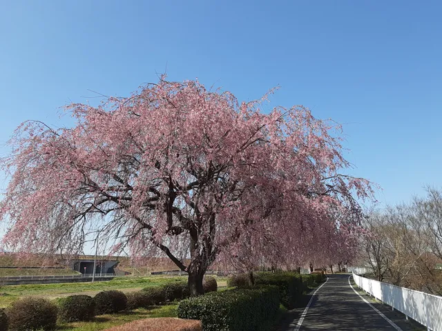 Yoshioka Town Ryokuchi Sports Park