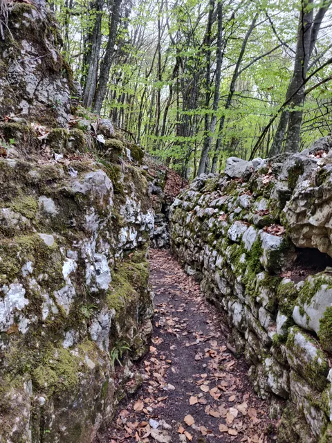 Trincee Col Campeggia