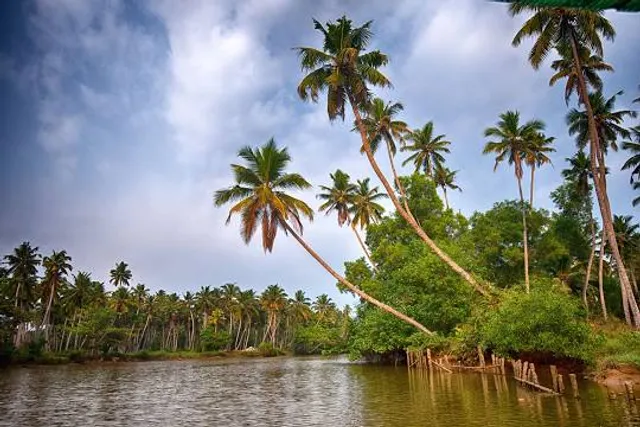 Poovar Backwater Cruise