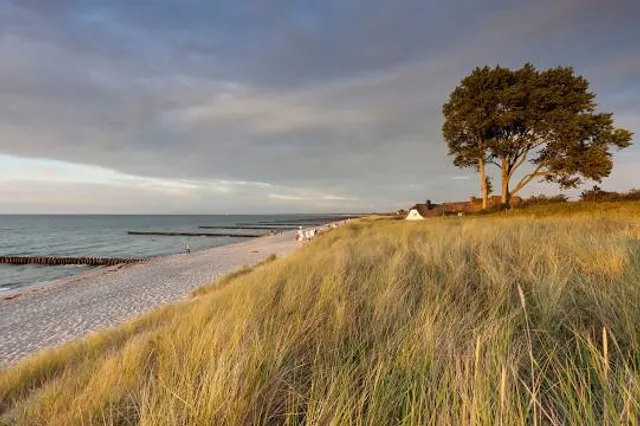 Strand Ahrenshoop