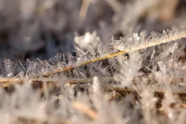 Walderlebnispfad (an den Saalfelder Feengrotten) Start
