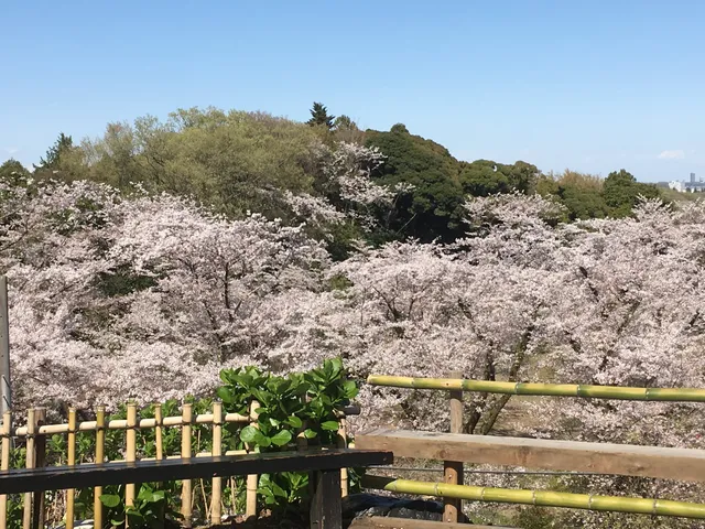 Iiyama-Hakusan Forest Park