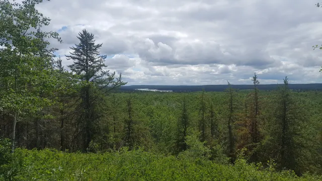 Spruce River Highlands Trail