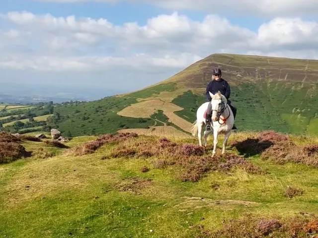 Ellesmere Riding & Trekking Centre