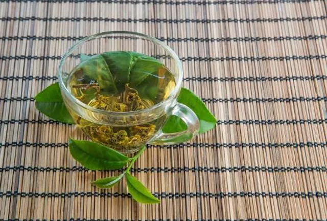 Bird Park Schifferstadt