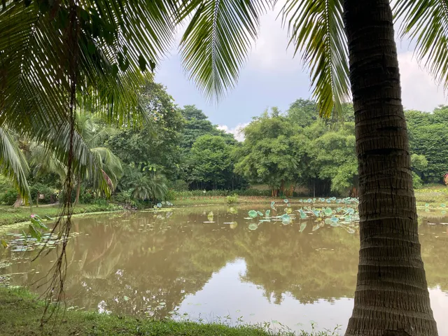 Công viên Mùa Xuân Ecopark
