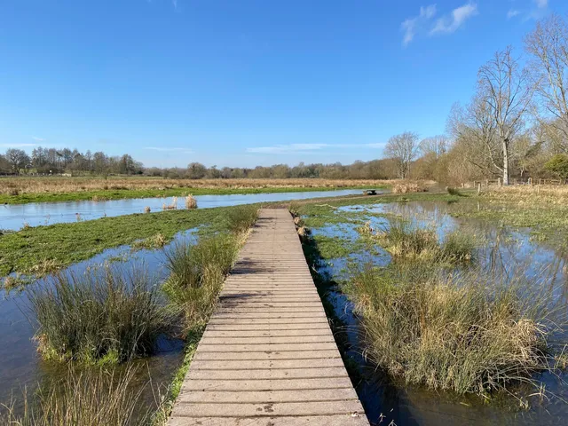Marston Marsh