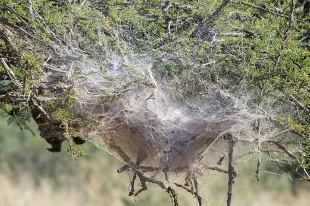 Acqualume Cachoeiras