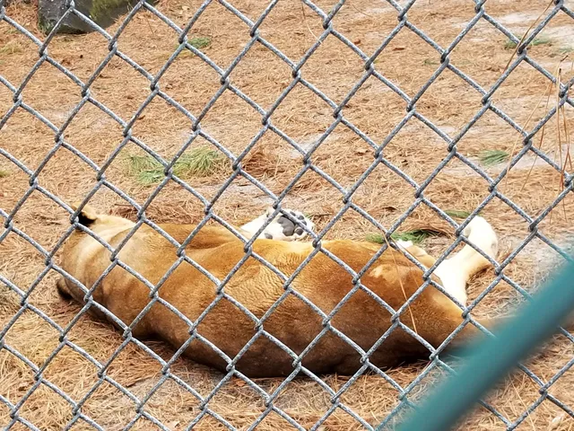 Popcorn Park Animal Refuge