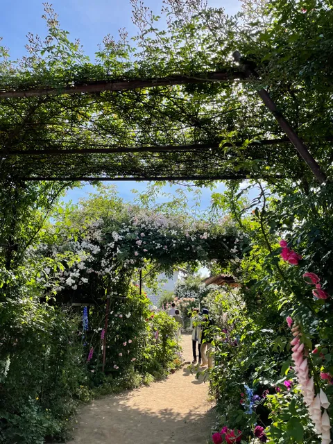 二宮家バラ園と日本庭園