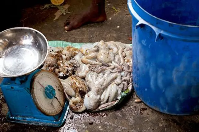 Zanzibar Spice Community Shop