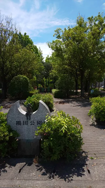 photo-1