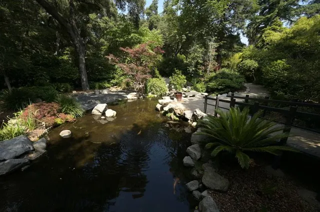 Japanese Garden