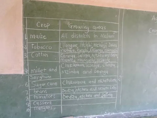 Al Manakhah Heritage Museum