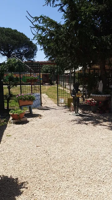 Il Collare D'Oro Pensione Cani E Gatti