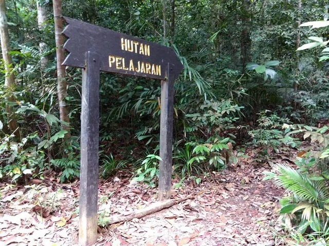 Hutan Lipur Gunung Pulai