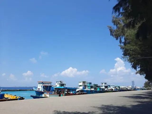 photo-2