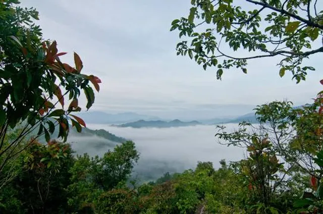 Bukit Panorama (Peak) Sungai Lembing