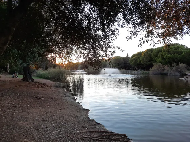 Lago Parque Infanta Elena
