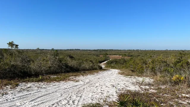 Allen David Broussard Catfish Creek Preserve State Park