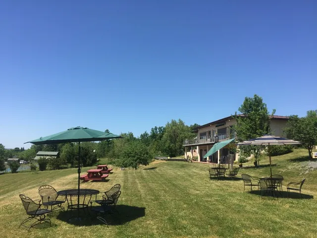 Damiani Wine Cellars