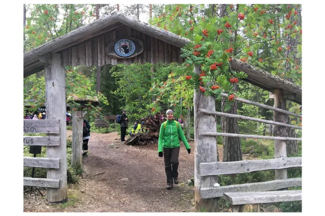 Saarijärvi-Viitasaari sub-region