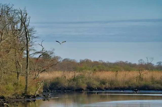 Wertheim National Wildlife Refuge