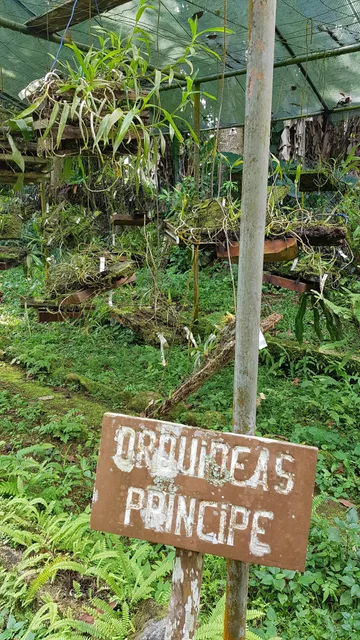 Jardim Botânico do Bom Sucesso