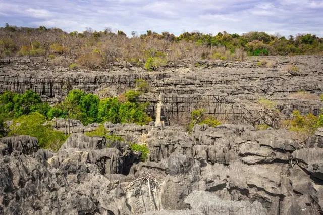 Réserve spéciale d’Ankarana