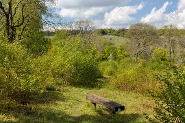 Dancersend Nature Reserve