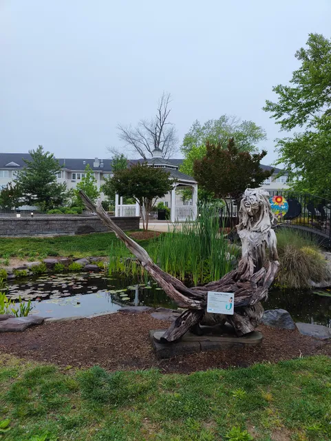 place image