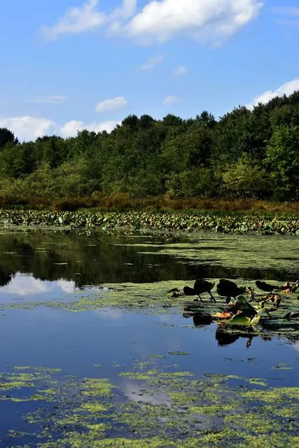 Frances Slocum State Park