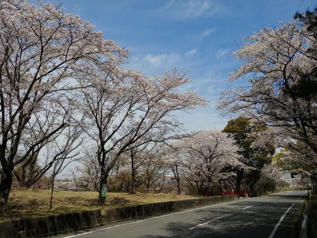 Nigoriike Natural Park