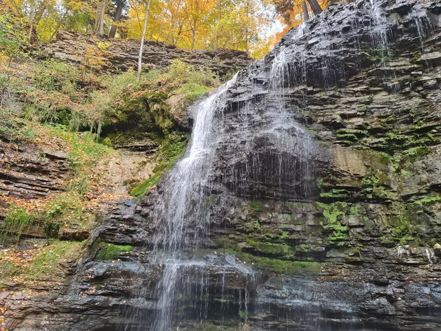 Tiffany Falls Conservation Area