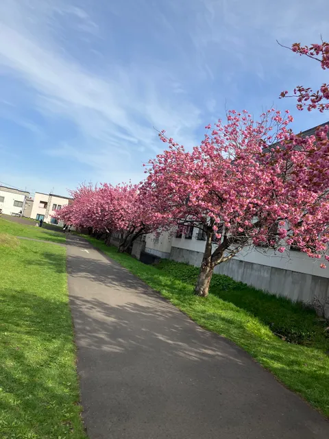 Shiroishi-Higashi Boken Park