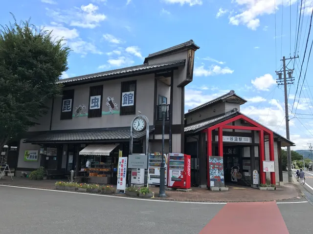 タニグミコンチュウカン