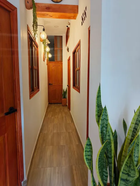 Oasis blue laureles medellin