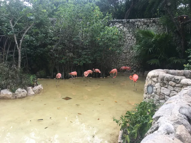 Hacienda Henequenera Xcaret
