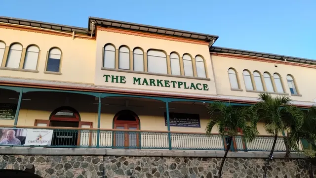 Starfish Market