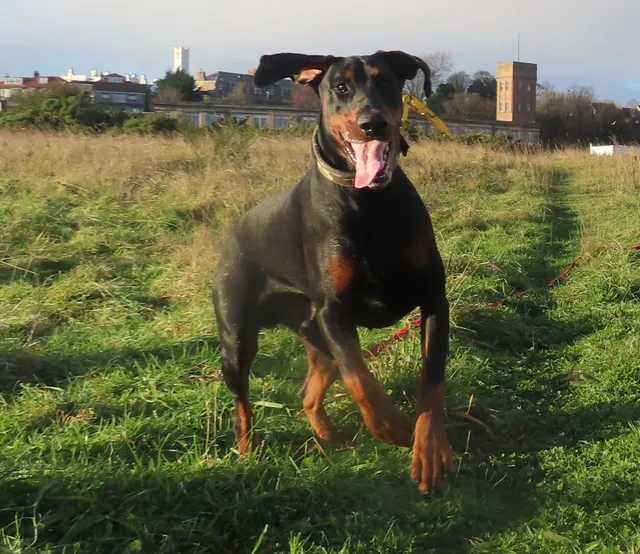 Pathhead Sands Beach Car Park