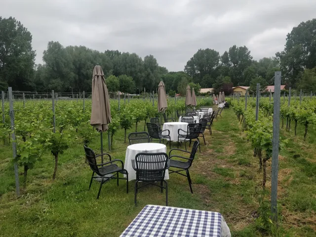 Vineyard Amsteltuin BV