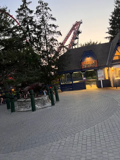 photo-3