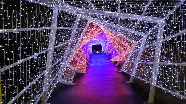 Rurikeionsen Potepote Park