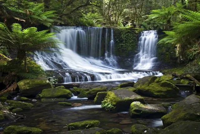 Mount Field National Park