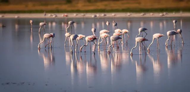 Laguna Larga De Villacañas