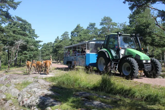 Viltsafari Käringsund