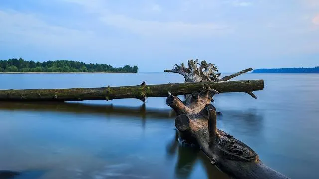 Lake Greenwood State Park