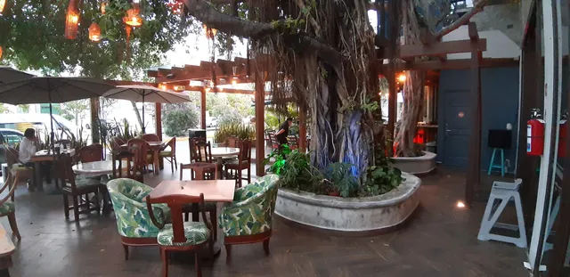 La Casa de la Mantarraya