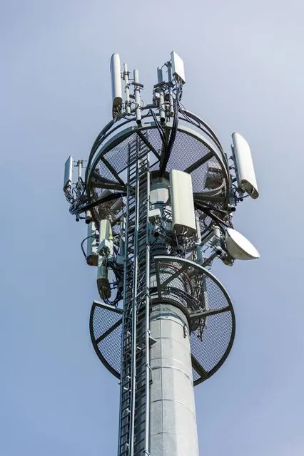 MUNICIPAL MUSEUM OF NATURAL SCIENCES VICENTE DI MARTINO