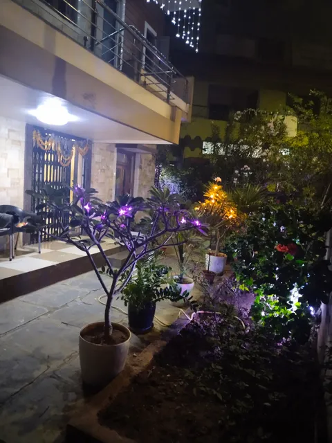 वी - कुंज